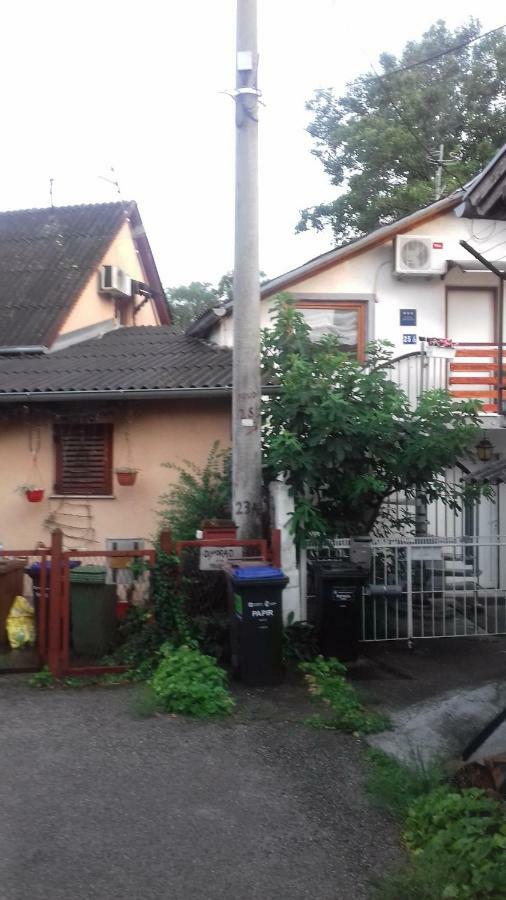 Apartment " Studio Green " Free Parking, Self Check-In Zagreb Eksteriør billede