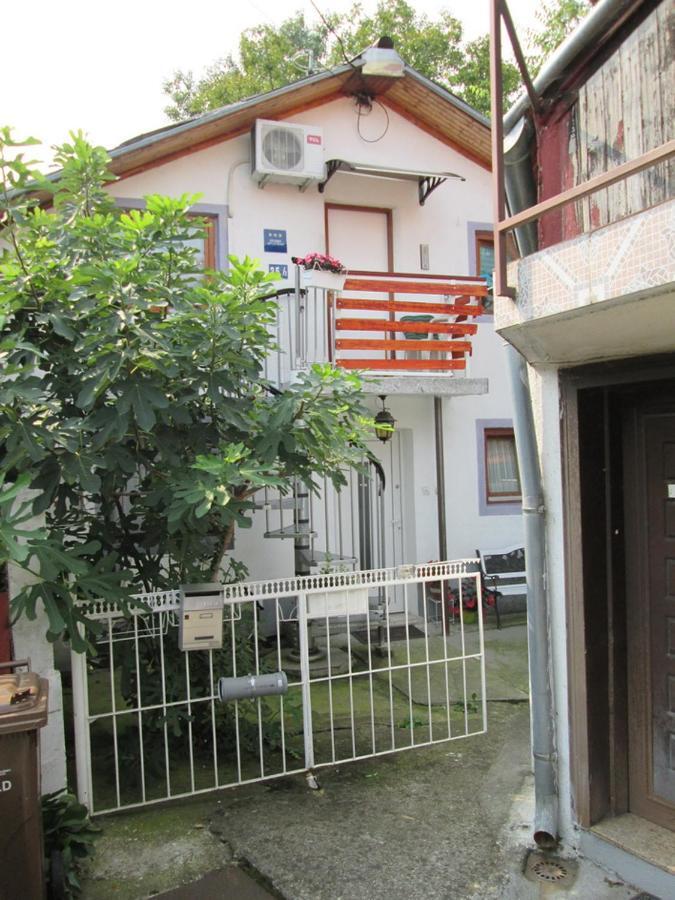 Apartment " Studio Green " Free Parking, Self Check-In Zagreb Eksteriør billede